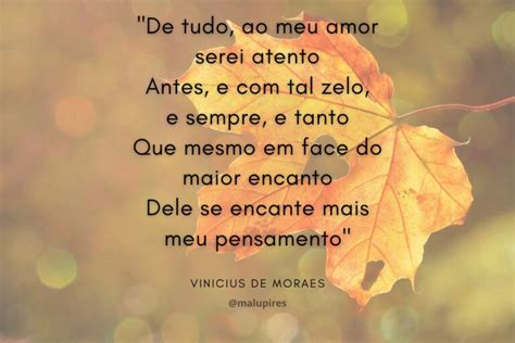 Poema De Amor Para Namorada Op Es Para Se Declarar