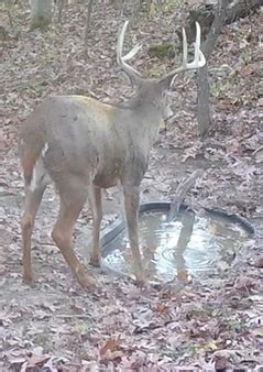 Whitetail Partners | Learning Center