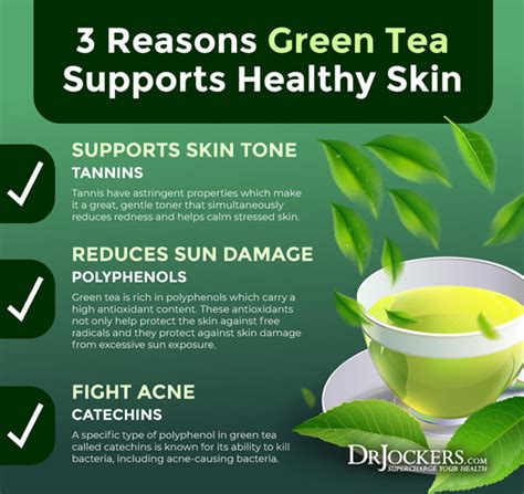 Vietnamese Green Tea Benefits All You Need To Know