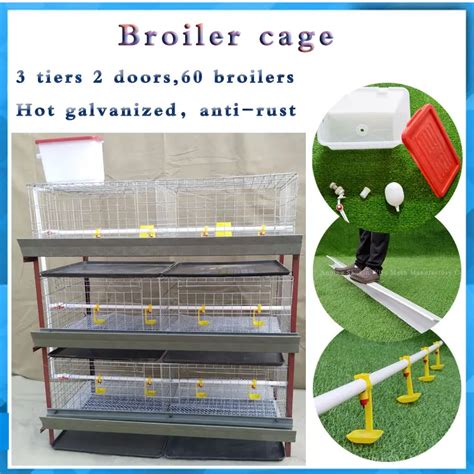 H Type 4 Tiers Galvanized Broiler Chicken Cage For Broiler Chicken