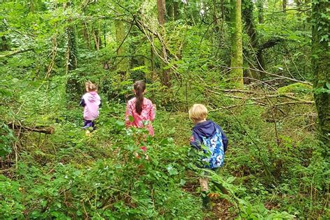 Fun At Our First Summer Camp Of 2020 Happy Out Forest School