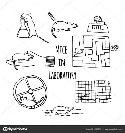 Mice In Laboratory Hand Drawn — Stock Vector © Greenvector 137316226