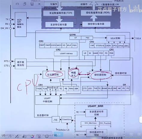 关于STM32的USART串口的一些笔记 stm32的串口1 usart1 是哪两个引脚 CSDN博客