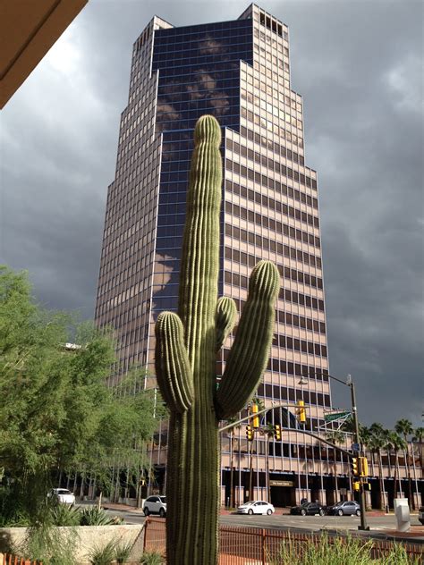 tucson daily photo tucson  study  contrasts