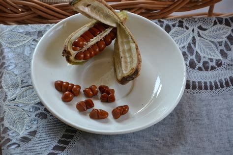 Выращивание ирисов из семян