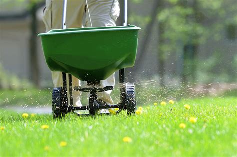 The Best Tips For Fertilizing Your Lawn