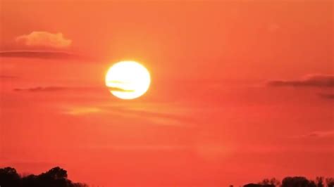 Zoya Rathore Desi Tadka S E Nude