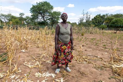 Wfp Intensifies Support For Zimbabwe As El Niño Drought Causes Severe