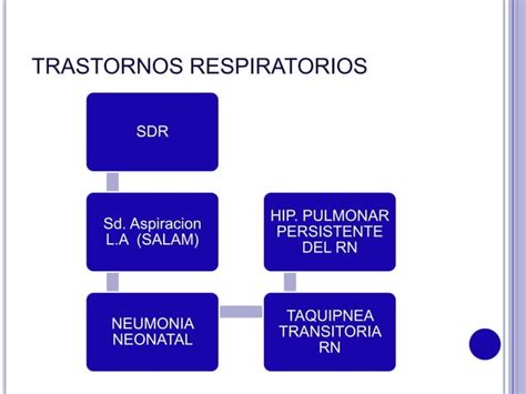 Trastorno Respiratorio PPT