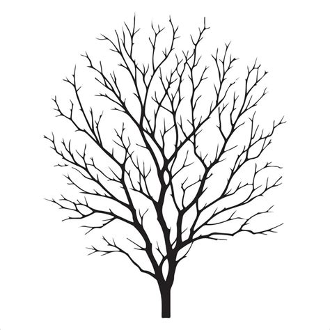 Minimal Autumn Naked Tree Vector Silhouette Vector Art At Vecteezy