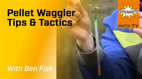 Match Fishing Pellet Waggler Tips And Tactics Youtube