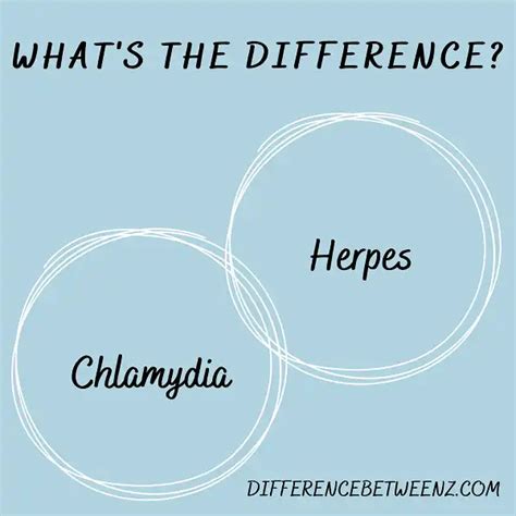 Difference Between Chlamydia And Herpes Difference Betweenz