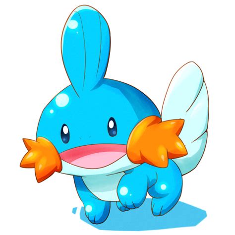 Mudkip Pokémon Image By Kinakomocheeni 2011165 Zerochan Anime