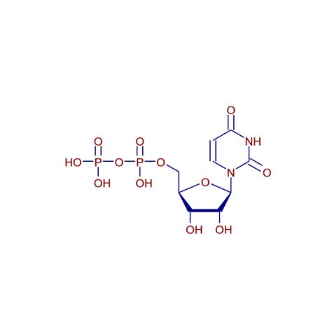 MzCloud Uridine 5 Diphosphate UDP