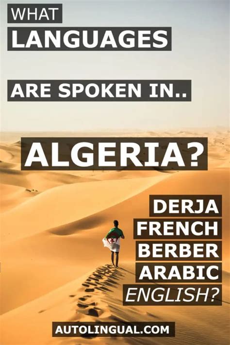 What Languages Are Spoken In Algeria? (Algerian Arabic, Berber, French ...