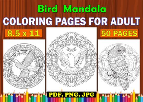 Bird Mandala Coloring Pages for Adult Graphic by Design Shop · Creative ...