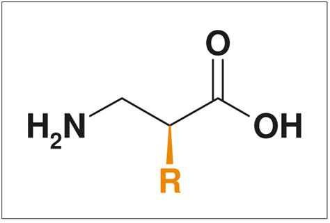 Beta2-Amino Acids: Synthesis Approaches & Compounds - ChiroBlock ...