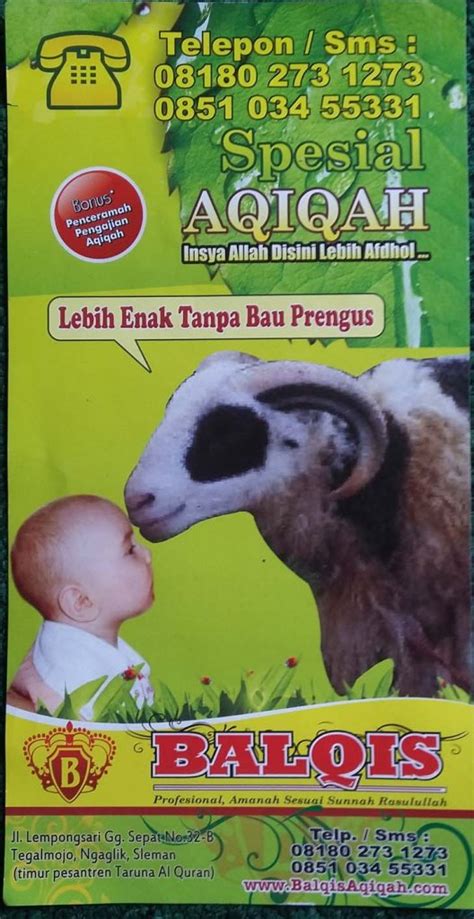 Contoh Brosur Hewan Qurban Goresan