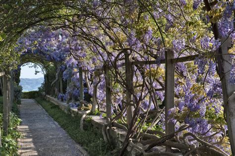 La Foce Vita A Tuscany Treasure Flower Magazine