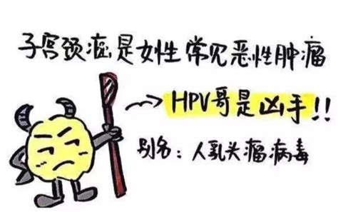 Hpv和tct检查有什么区别？检查报告怎么看？健康频道新闻中心长江网cjncn