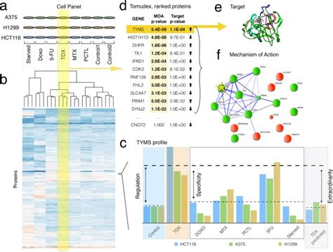 Functional Identification Of Target By Expression Proteomics Fitexp