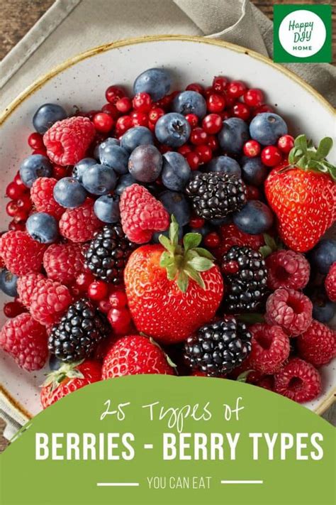 25 Types of Berries - Berry Types You Can Eat | Happy DIY Home