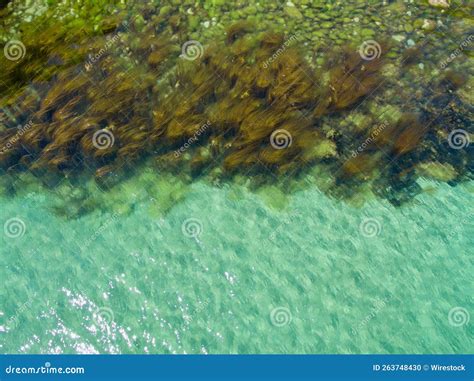 Aerial View of Seaweed in the Azure Sea Stock Photo - Image of calm ...