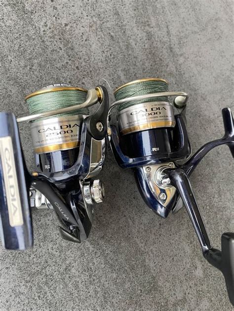 Moulinet Daiwa Caldia Et Kaufen Auf Ricardo