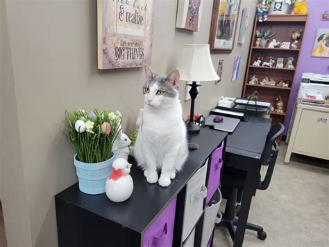 Faribault Senior Living added a... - Faribault Senior Living