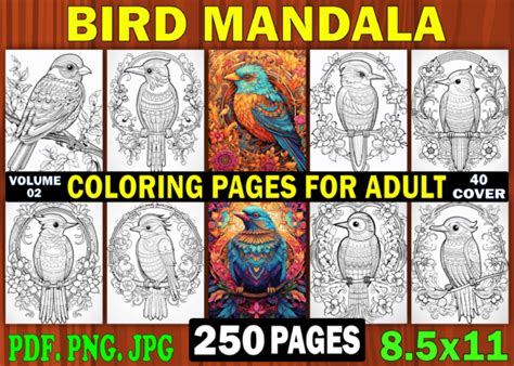 250 Bird Mandala Coloring Book for Adult Graphic by Design Shop ...