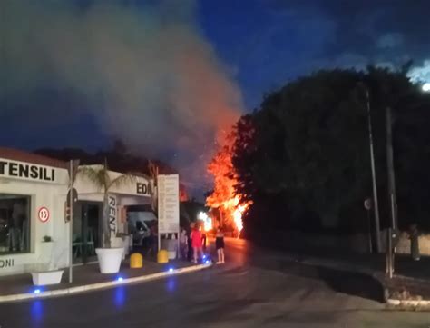 Modica Albero In Fiamme In Via Risorgimento Indagini Sulle Cause Del