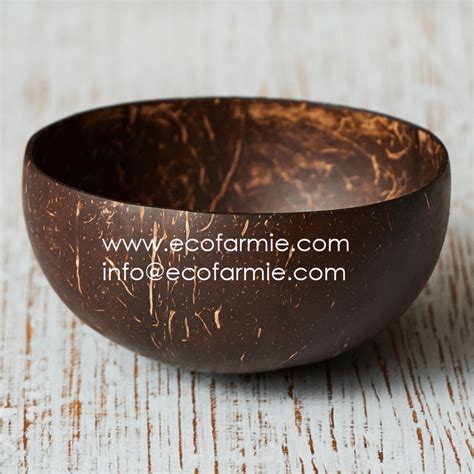 Kitchenware Dinnerware Biodegradable Coconut Shell Serving Bowls With