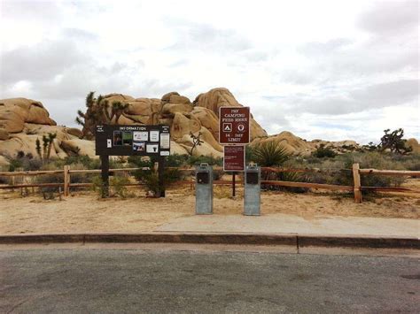 jumbo-rocks-campground-joshua-tree-national-park-1 | Campground Views