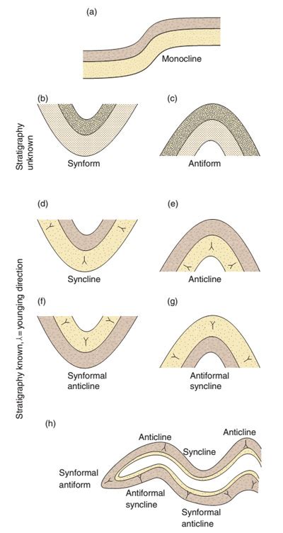 Non Plunging Anticline Diagram