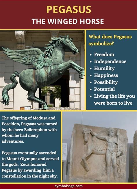 Pegasus Symbolism - Greek Mythology | Greek mythology stories, Greek ...