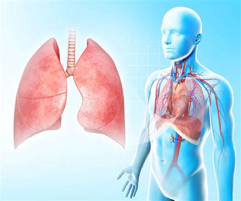 This Is What Copd Looks Like In The Lungs