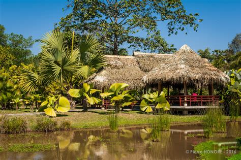 Xishuangbanna Tropical botanical Garden. (XTBG). China. on Behance