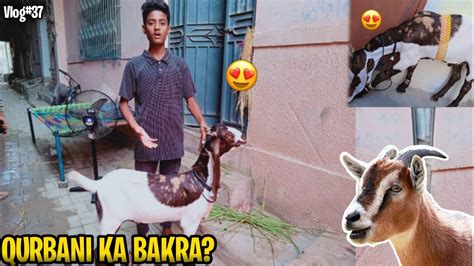 Mandi Se Qurbani Ka Bakra Le Liya😍🐐ll Mandi Se Kitne Ka Liya 🤔 Youtube