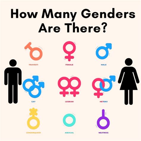 How Many Genders Are There Scientifically Analyzed Howtoguidewiki