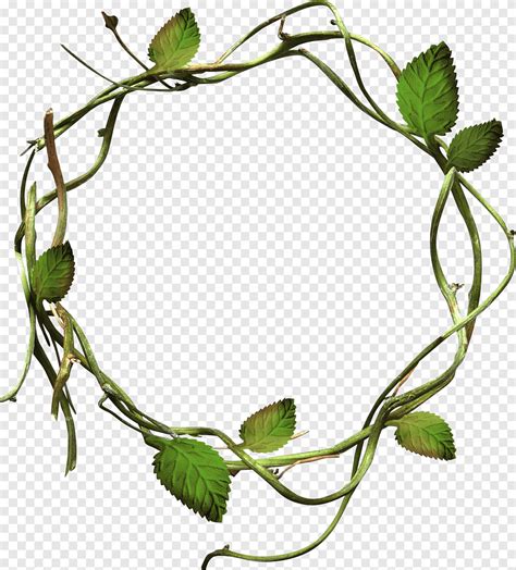 Round Vines Vine Circles Png PNGEgg