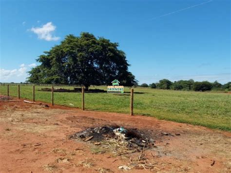 Mato Grosso Fazendas Hectares Venda No Vale Do Araguaia Mt