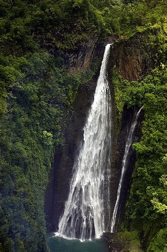 a large waterfall in the middle of a lush green forest filled with trees and water