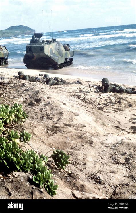 Marines From The Battalion Landing Team BLT 1 3 3rd Marine Division