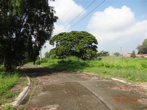 Pag Ibig House And Lot For Sale San Fernando Pampanga