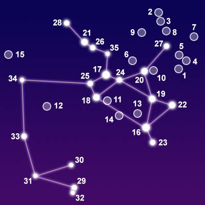 Constellation Sagittarius - The Constellations on Sea and Sky