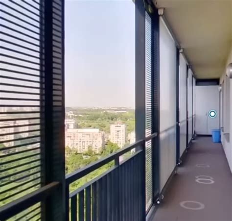 Cum arată apartamentul de lux pe care Nicoleta Luciu l a scos la