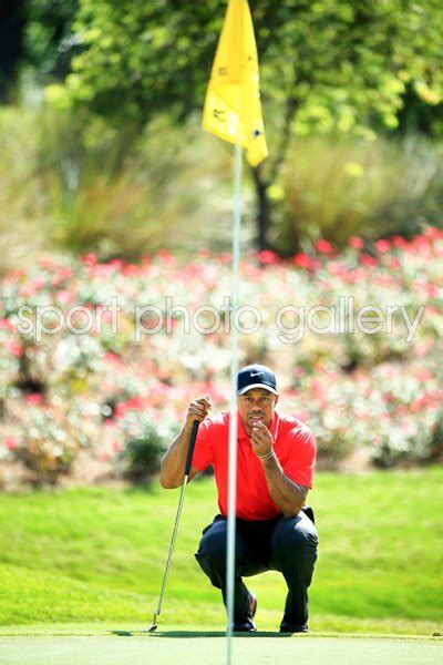 Uspga Tour 2013 Images Golf Posters Tiger Woods