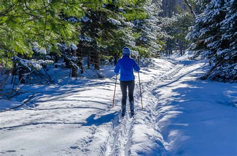 ミシガン州で最も雪の多い場所を発見する Oneechanblog