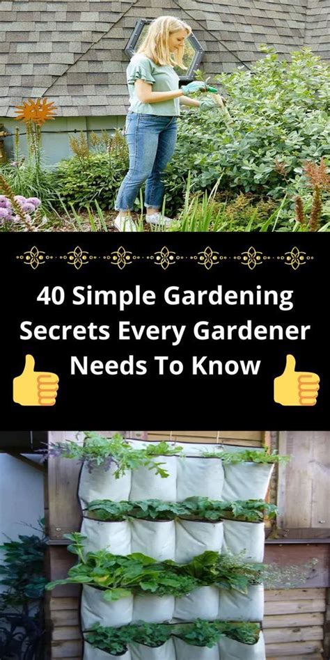 Gardening Advice