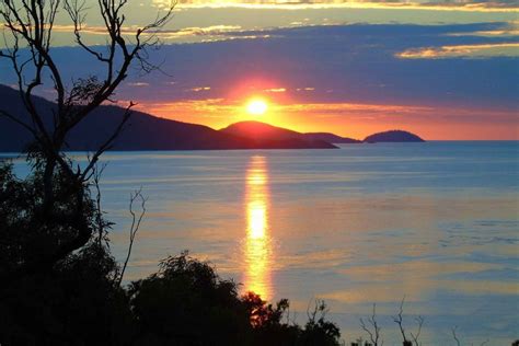 Hamilton Island Whitsundays Sunset BBQ Dinner Cruise In Whitsundays